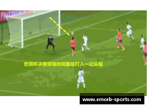 维达：从球场巅峰到人生新篇章